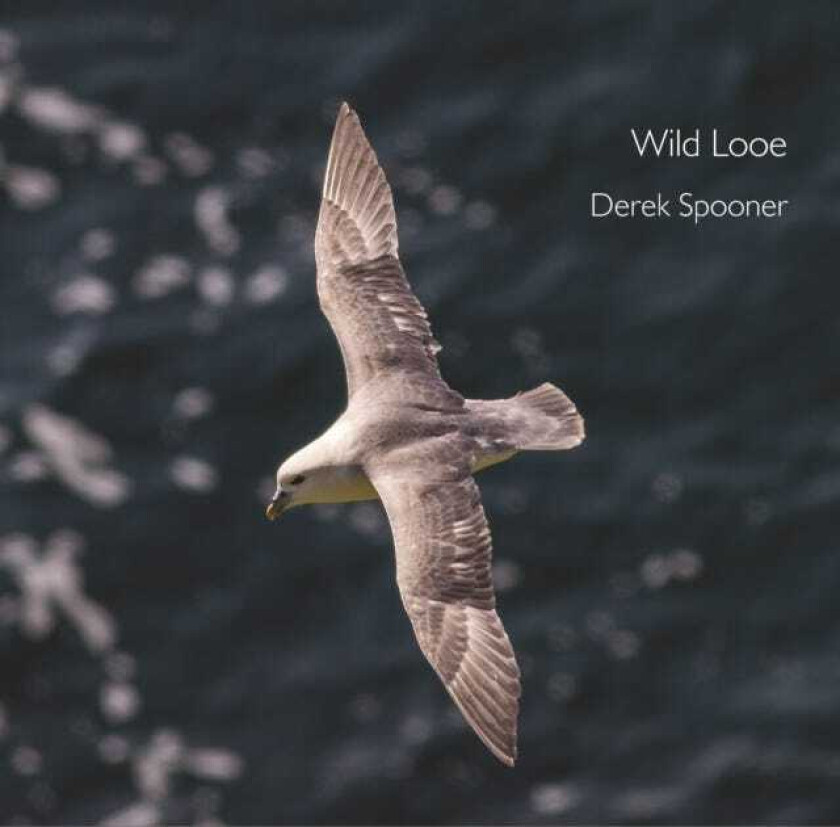 Wild Looe