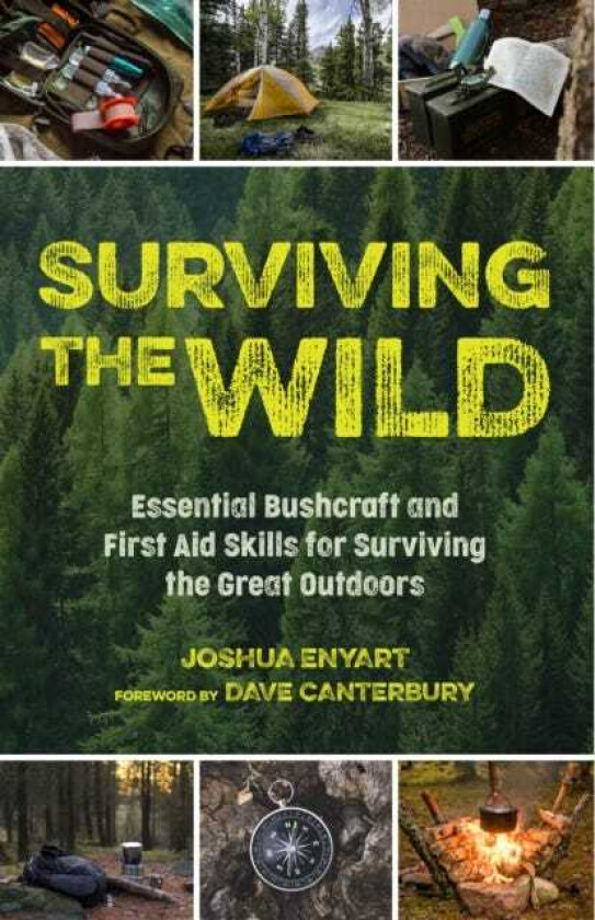 Surviving the Wild Essential Bushcraft and First Aid Skills for Surviving the Great Outdoors (Wilderness Survival)