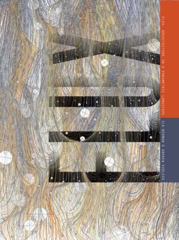 Flux Architecture in a Parametric Landscape