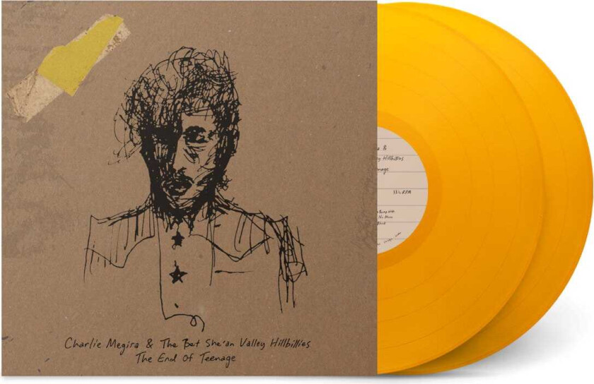 Charlie Megira End of Teenage LP/Vinyl