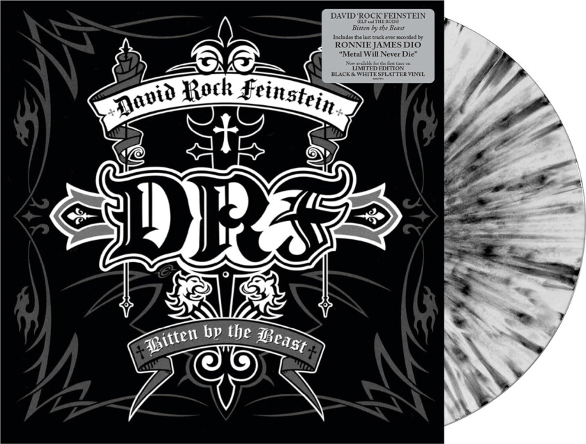 David Rock Feinstein Bitten By The Beast LP/Vinyl