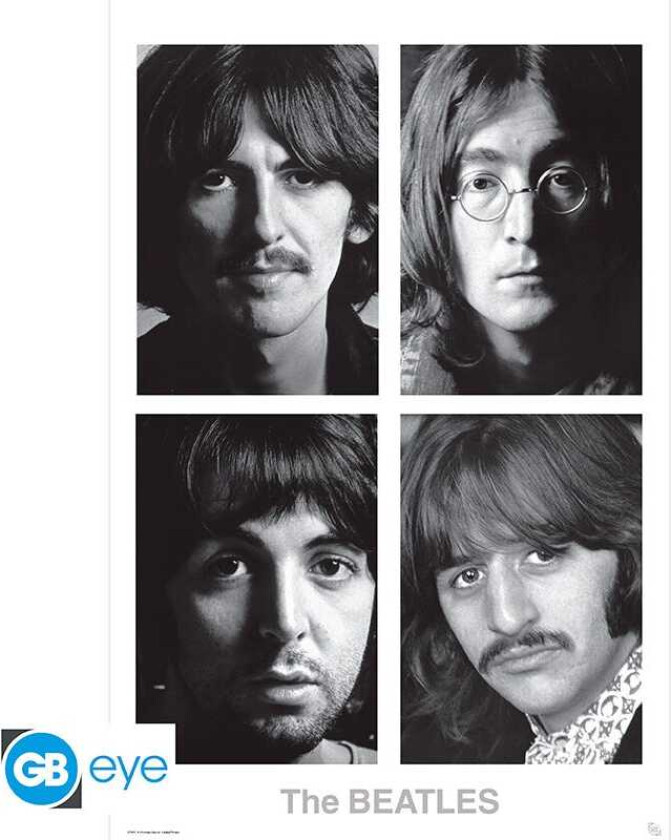 The Beatles Plakat White Album