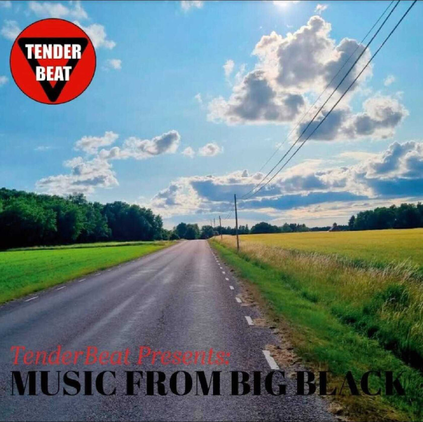 TenderBeat  Music from Big Black  CD