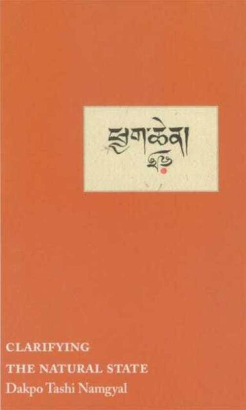 Clarifying the Natural State A Principal Guidance Manual for Mahamudra