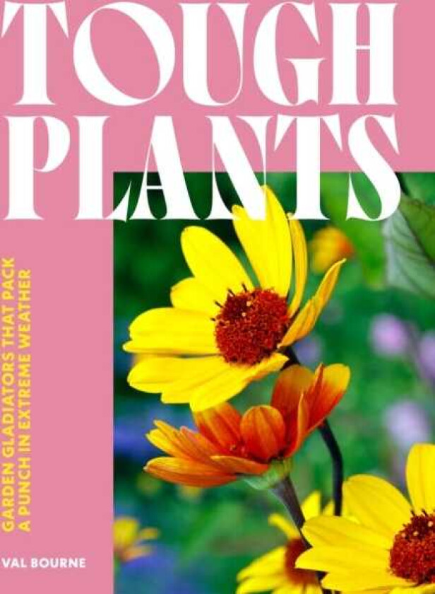 Tough Plants Garden gladiators that pack a punch in extreme weather