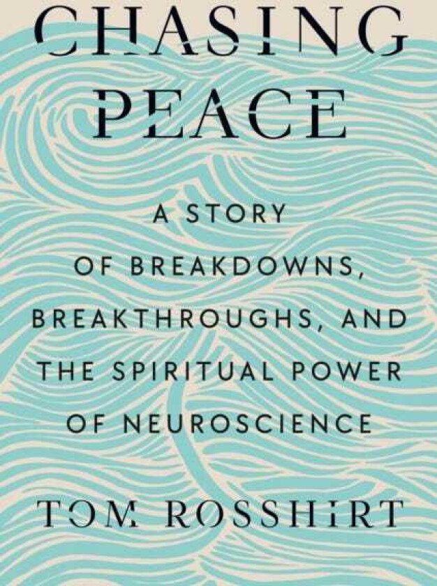 Chasing Peace  A Story of Breakdowns, Breakthroughs, and the Spiritual Power of Neuroscience