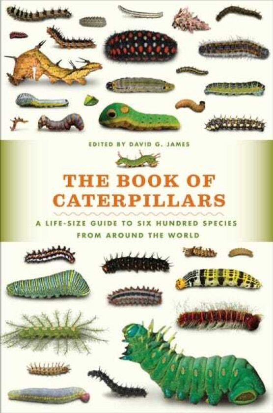 The Book of Caterpillars A LifeSize Guide to Six Hundred Species from around the World