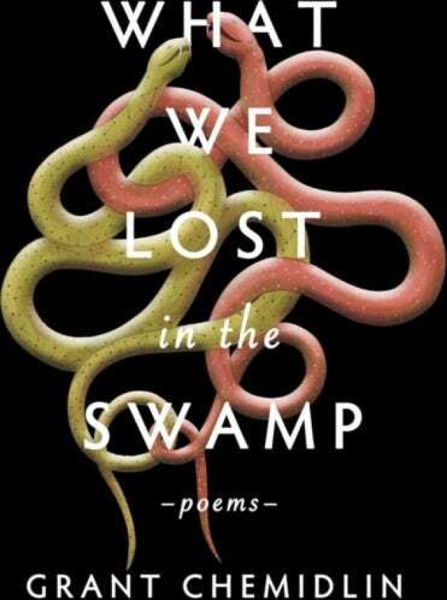 What We Lost in the Swamp Poems