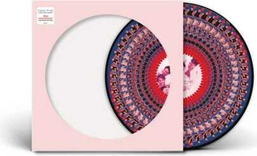 Take That Everything Changes LP/Vinyl