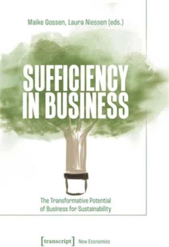 Sufficiency in Business The Transformative Potential of Business for Sustainability