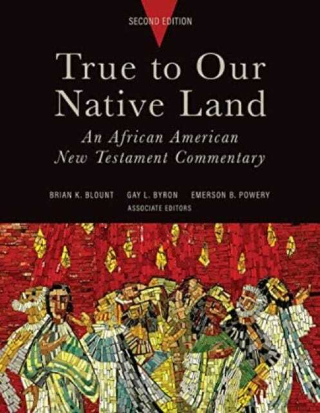 True to Our Native Land, Second Edition  An African American New Testament Commentary