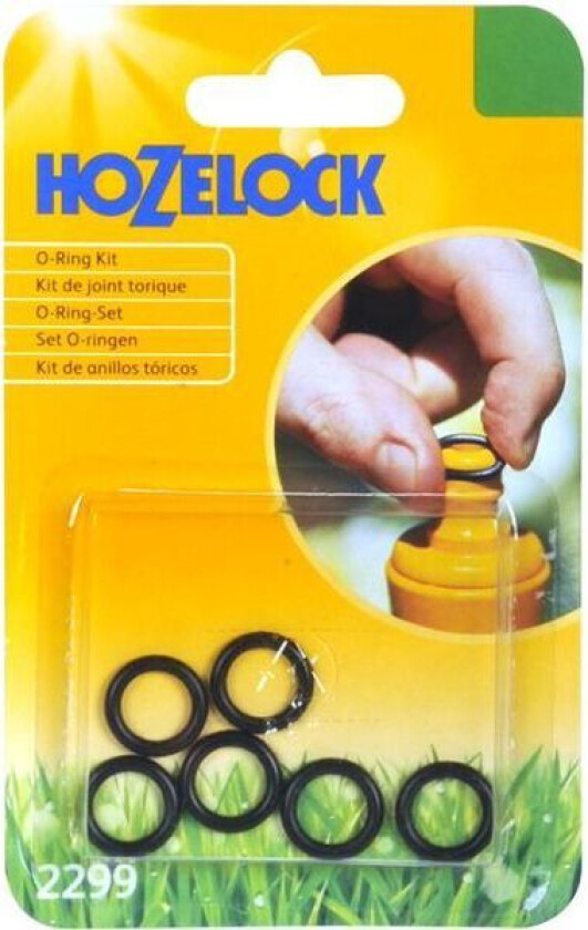 21-2299 O-ringsett 6-pakning