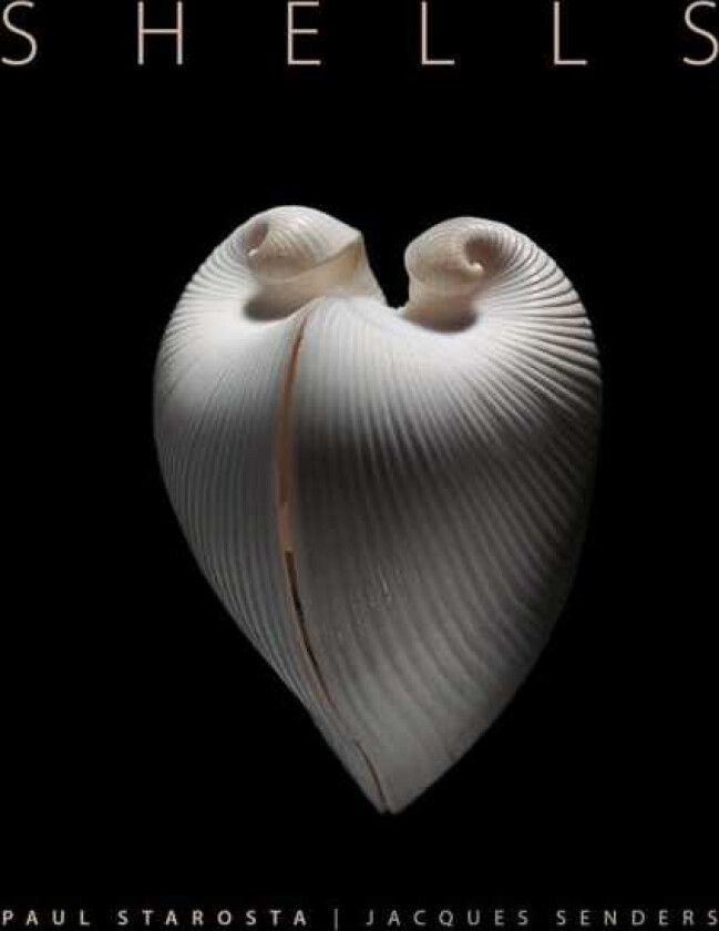 Shells