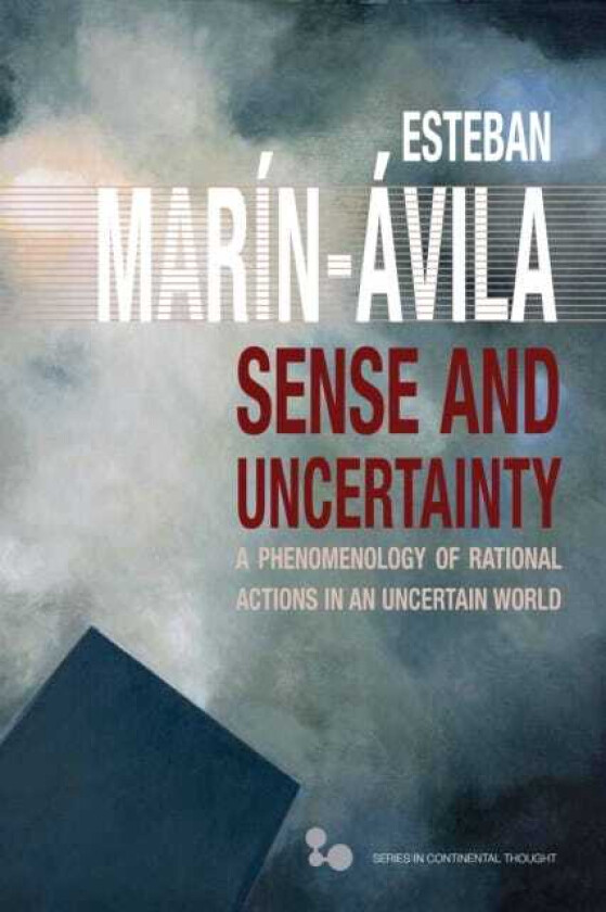 Sense and Uncertainty A Phenomenology of Rational Actions in an Uncertain World