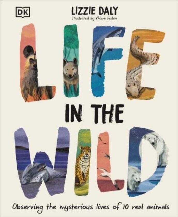 Life in the Wild Observing the Mysterious Lives of 10 Real Animals