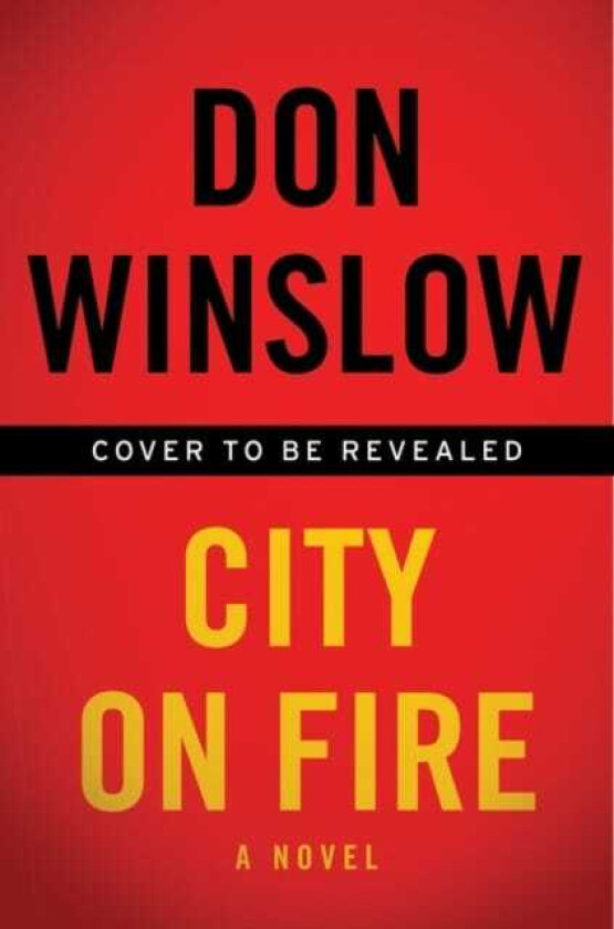 City on Fire  A Novel