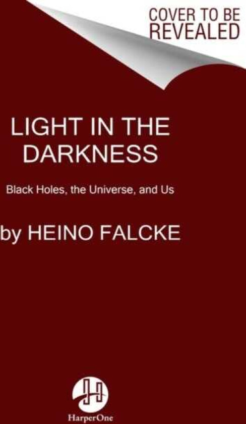 Light in the Darkness  Black Holes, the Universe, and Us