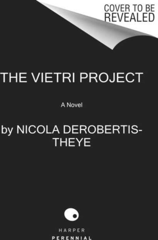 The Vietri Project A Novel