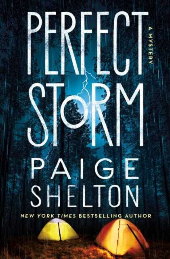 Perfect Storm A Mystery