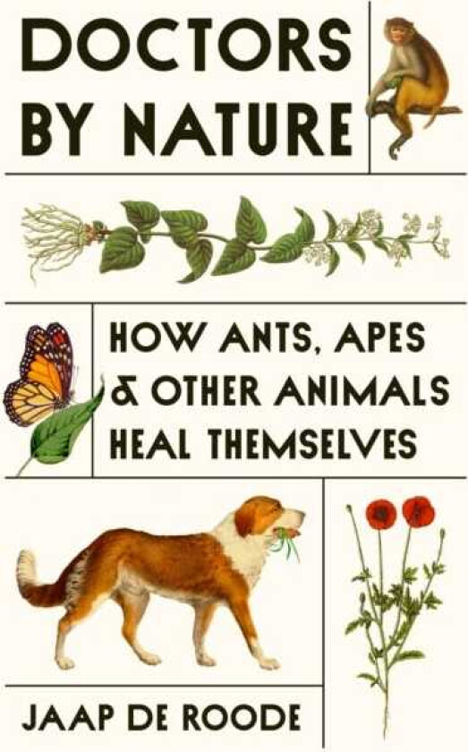 Doctors by Nature How Ants, Apes, and Other Animals Heal Themselves