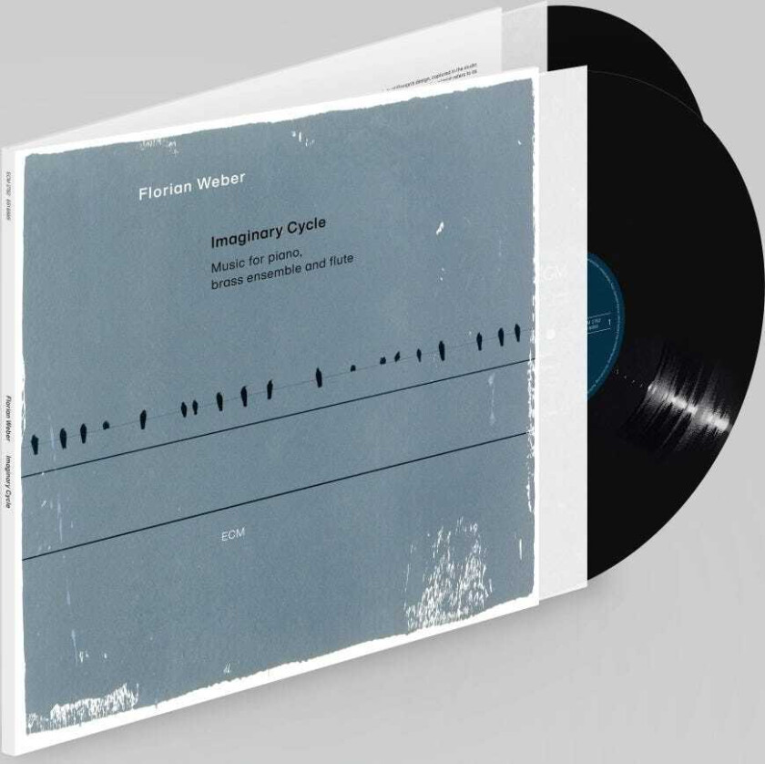 Florian Weber Imaginary Cycle LP/Vinyl
