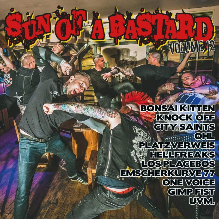 Diverse Punk Sun Of A Bastard Vol. 12 CD
