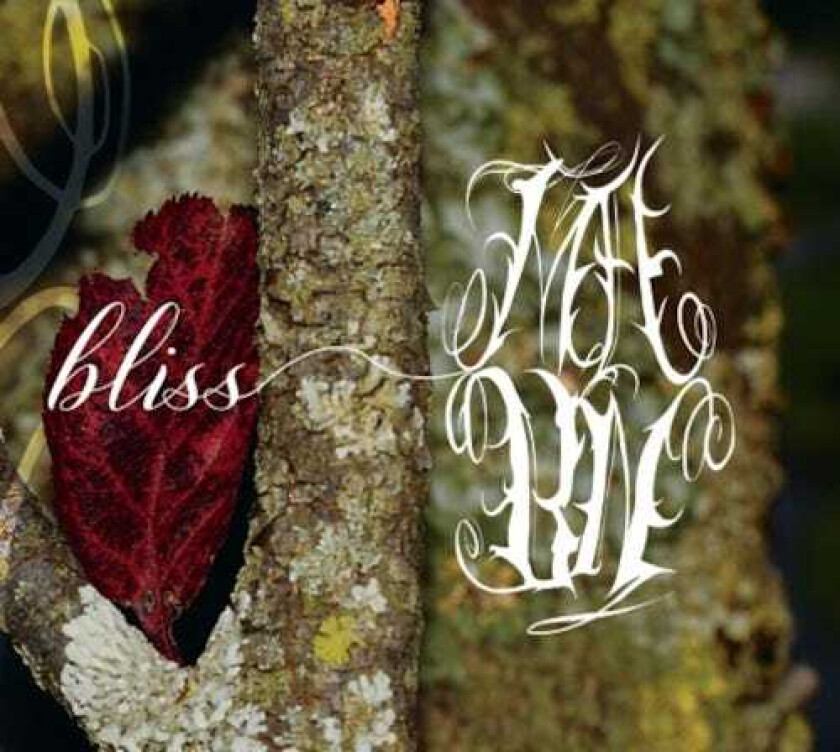 My Absence By Now  Bliss  CD