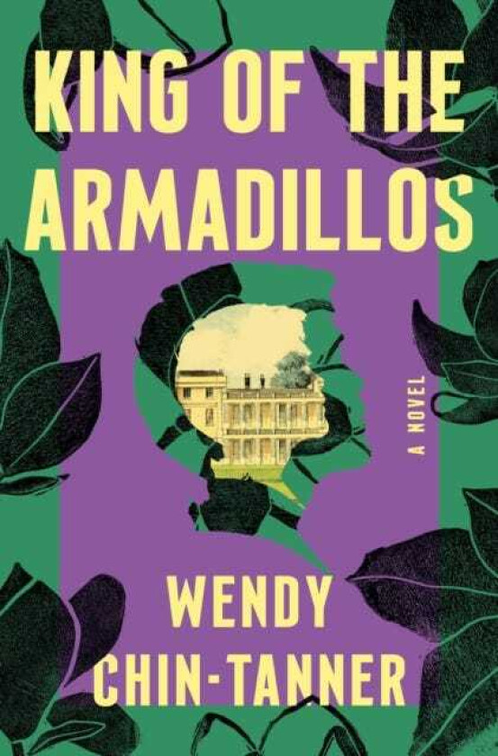 King of the Armadillos  A Novel