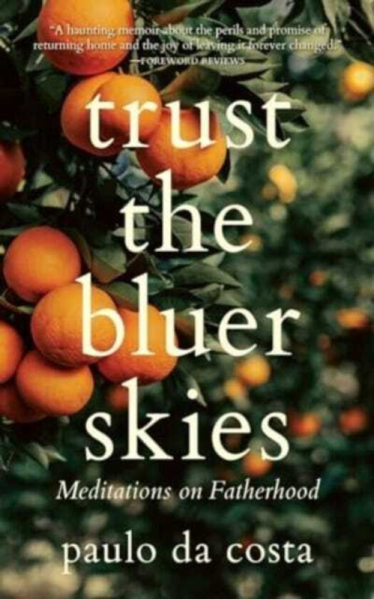 Trust the Bluer Skies  Meditations on Fatherhood