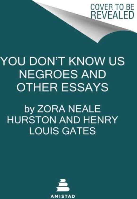 You Don't Know Us Negroes and Other Essays