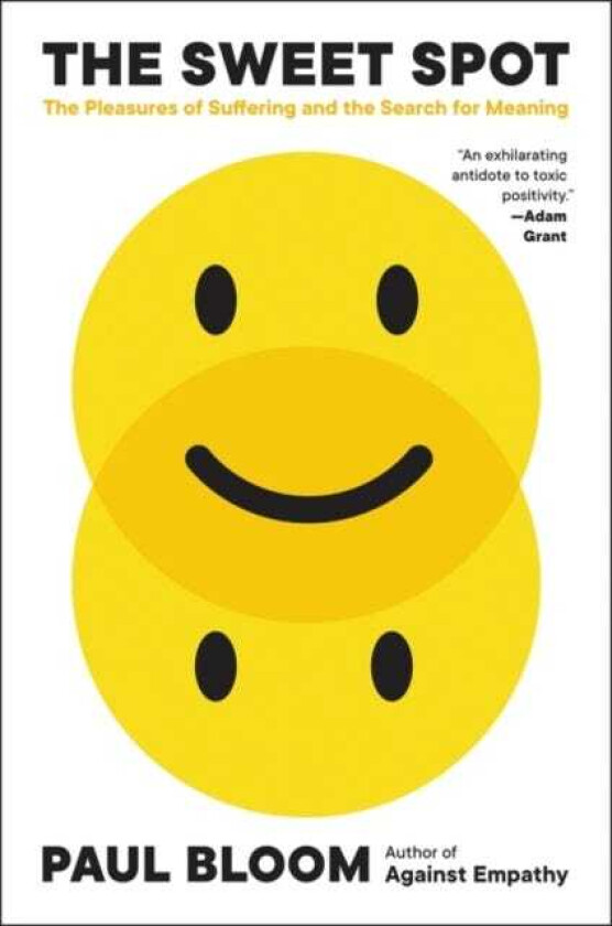 The Sweet Spot The Pleasures of Suffering and the Search for Meaning