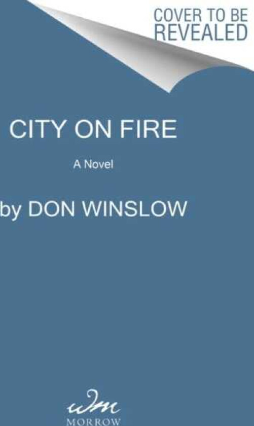 City on Fire  A Novel