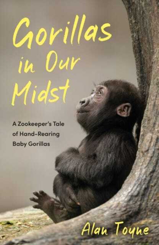 Gorillas in Our Midst A Zookeeper’s Tale of HandRearing Baby Gorillas