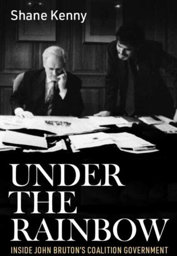 Under the Rainbow Inside John Bruton's coalition government