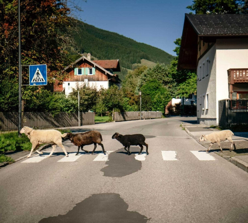 Maxi Pongratz I Mecht An Landler Hean LP/Vinyl