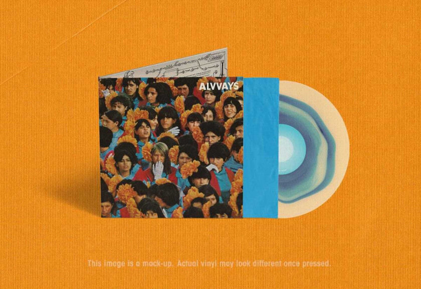Alvvays Alvvays LP/Vinyl