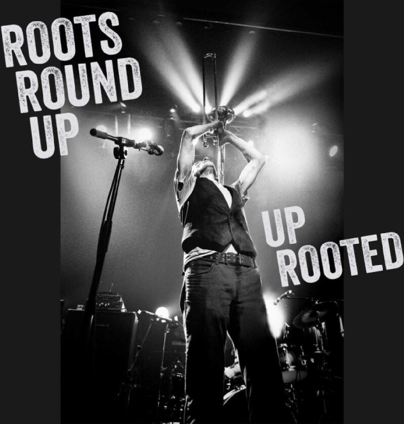 Roots Roundup  Up Rooted  CD