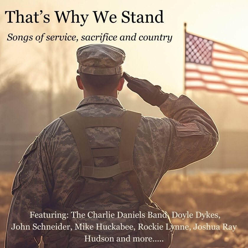 Diverse Country That's Why We Stand LP/Vinyl