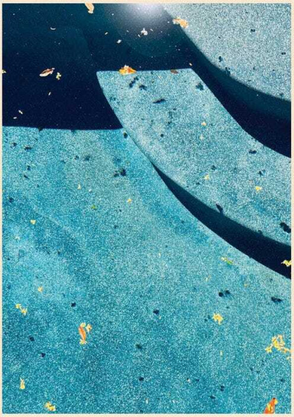 Giant Day Glass Narcissus LP/Vinyl