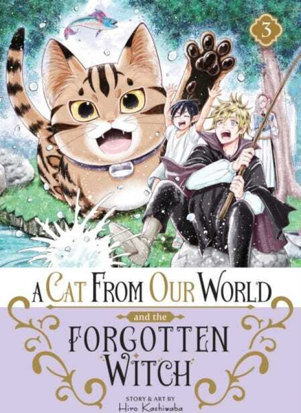A Cat from Our World and the Forgotten Witch Vol. 3