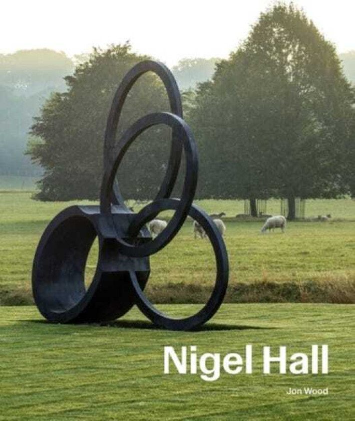 Nigel Hall Sculpture & Drawings