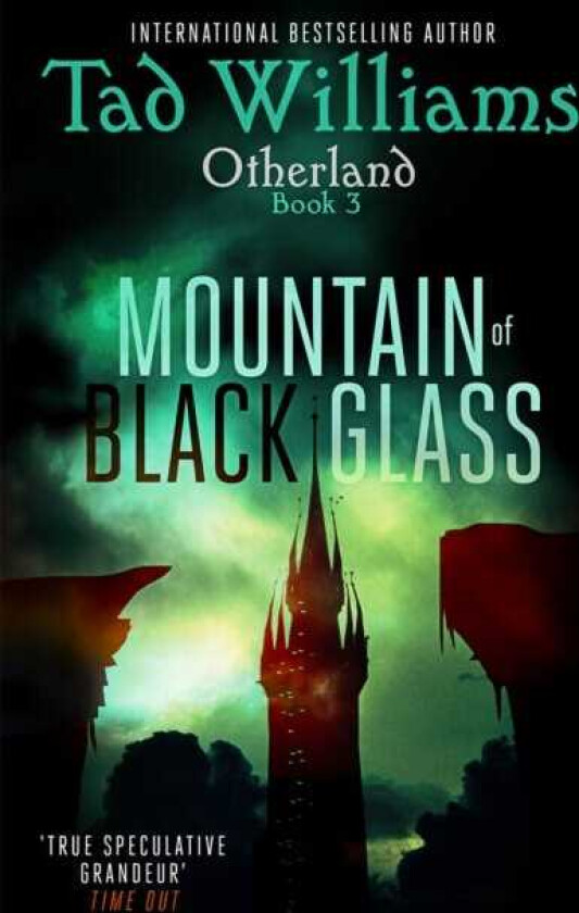 Mountain of Black Glass  Otherland Book 3