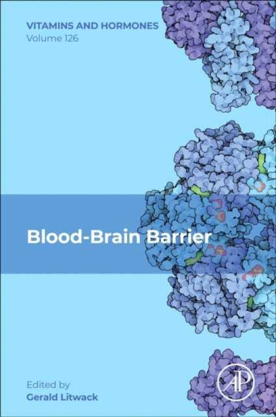 BloodBrain Barrier