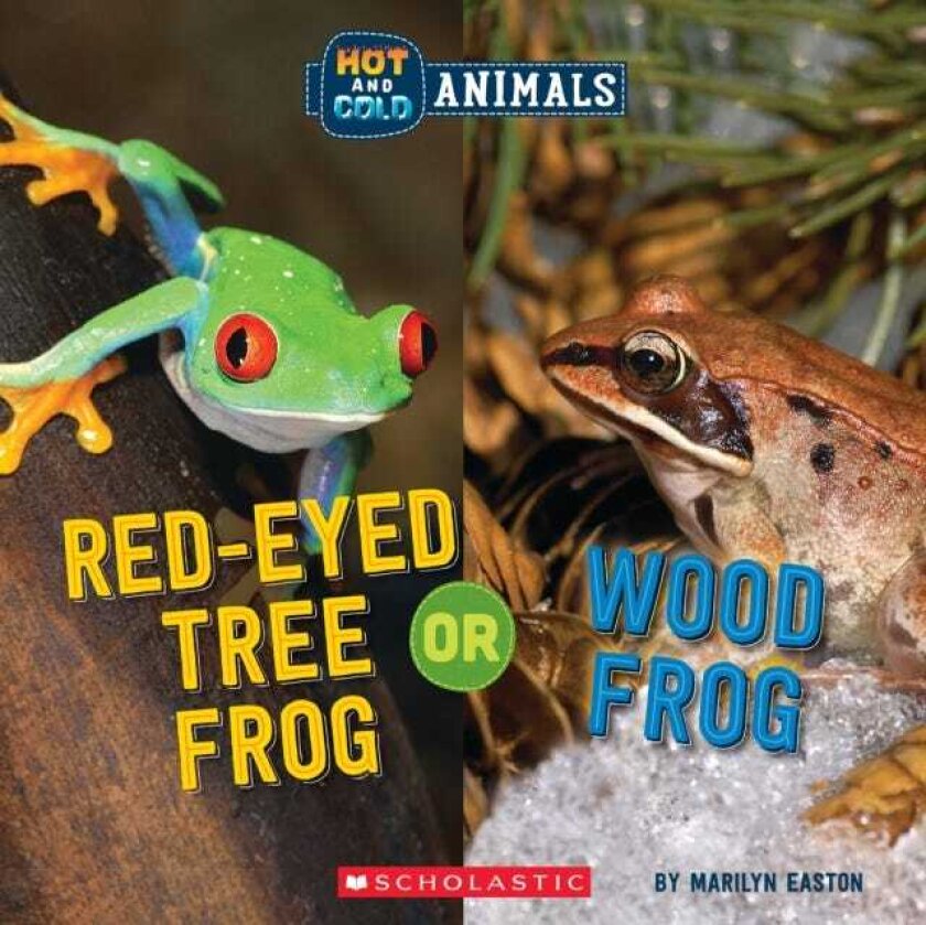 RedEyed Tree Frog or Wood Frog (Wild World: Hot and Cold Animals)