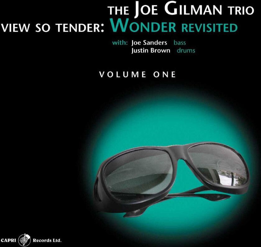 Joe Gilman  View So Tender: Wonder Revisited Vol. 1  CD