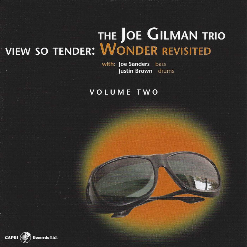 Joe Gilman View So Tender: Wonder Revisited Vol. 2 CD