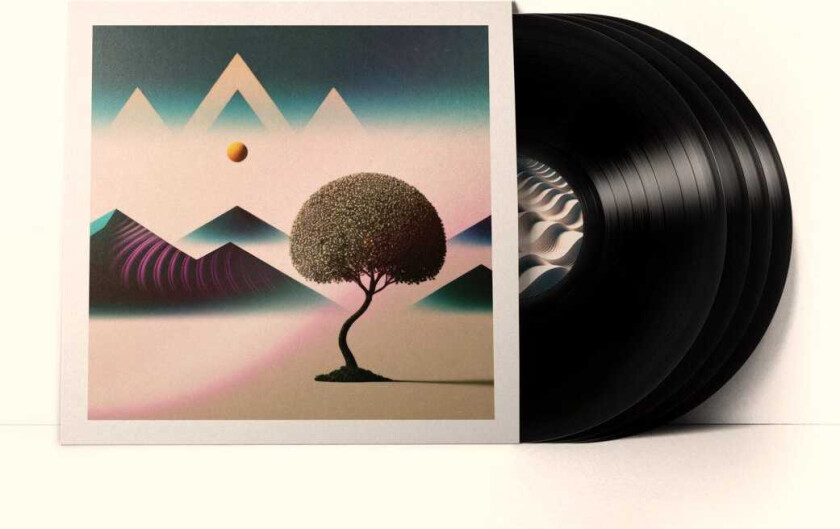 36 Dreamloops LP/Vinyl