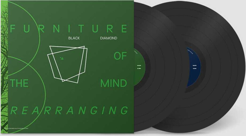 Black Diamond Furniture Of the Mind Rearranging LP/Vinyl