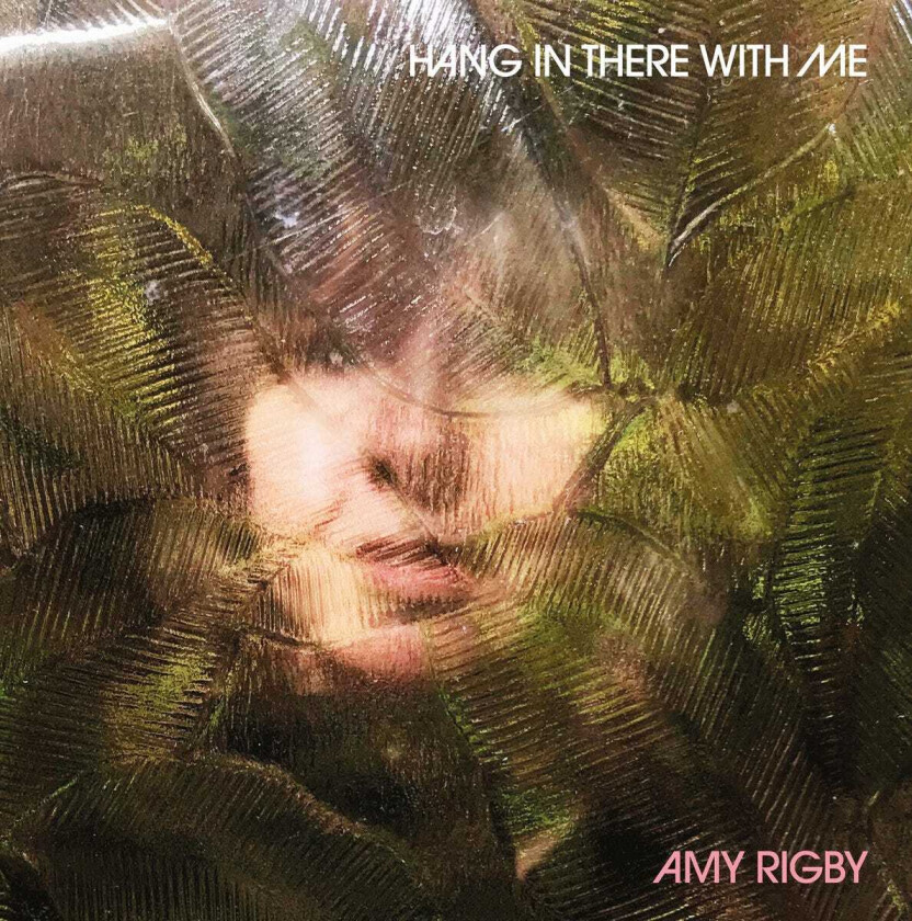 Amy Rigby Hang In There With Me LP/Vinyl