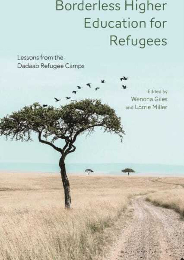 Borderless Higher Education for Refugees Lessons from the Dadaab Refugee Camps